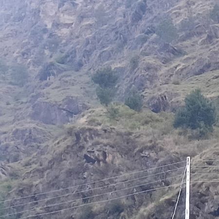Tirthan Hilltop Home Stay Banjār Dış mekan fotoğraf