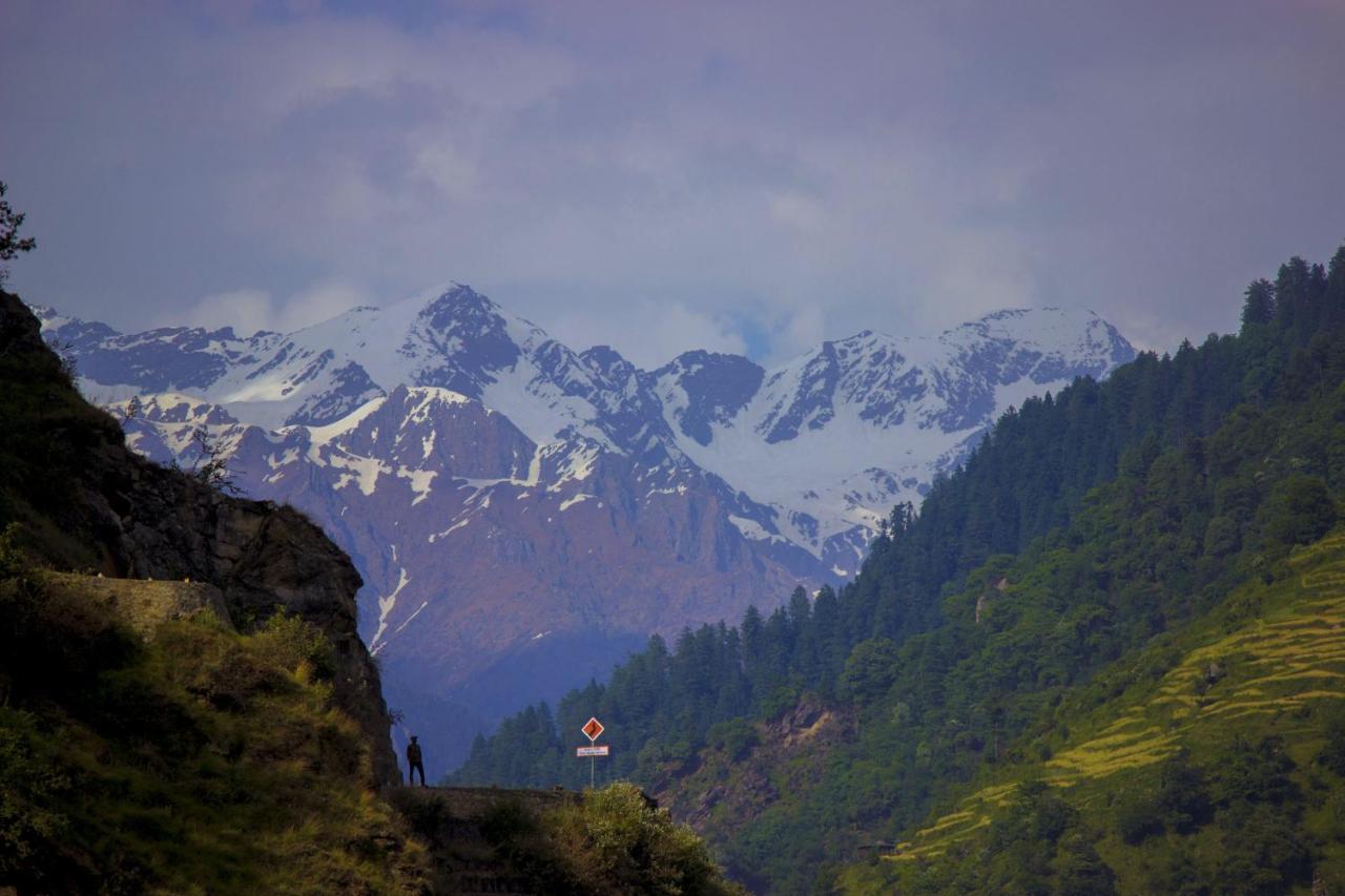 Tirthan Hilltop Home Stay Banjār Dış mekan fotoğraf