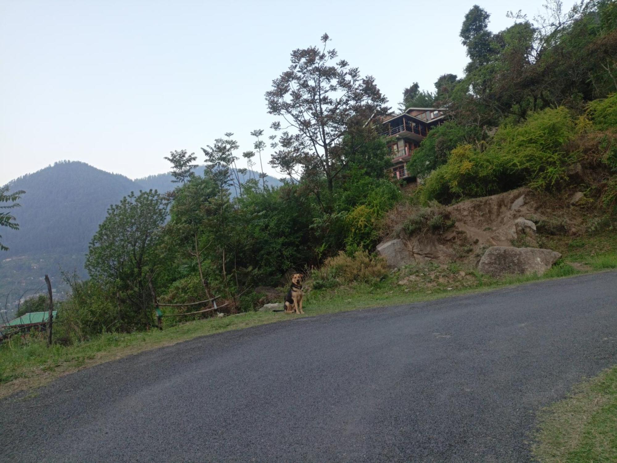 Tirthan Hilltop Home Stay Banjār Dış mekan fotoğraf