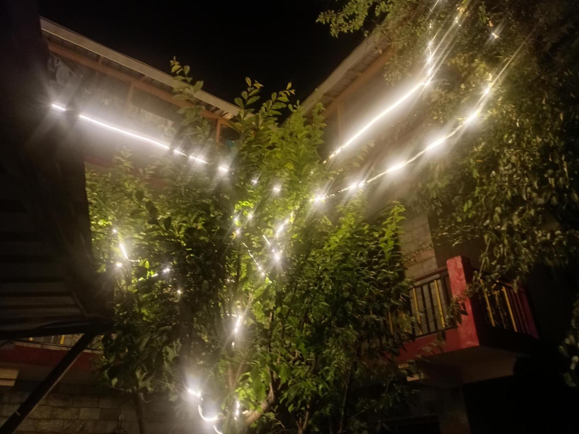 Tirthan Hilltop Home Stay Banjār Dış mekan fotoğraf