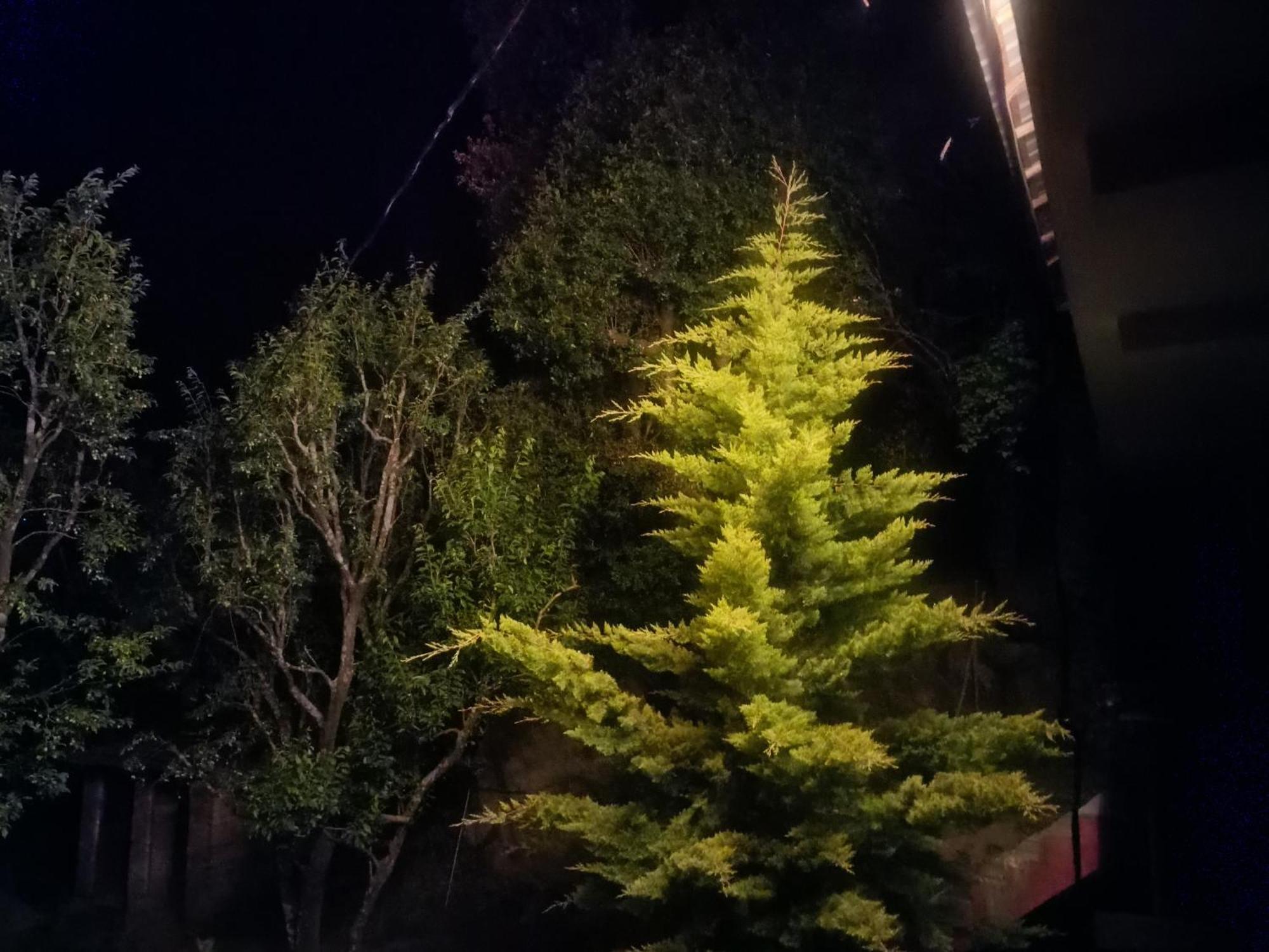 Tirthan Hilltop Home Stay Banjār Dış mekan fotoğraf